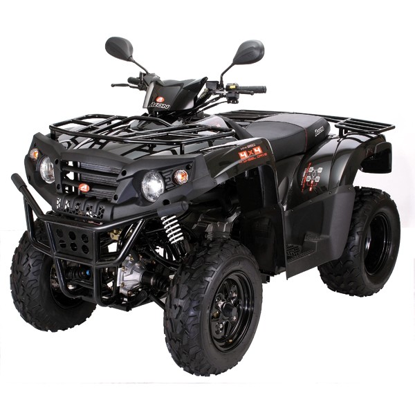 Reprogramiranje vozila Aeon Crossland 400 4x4  20